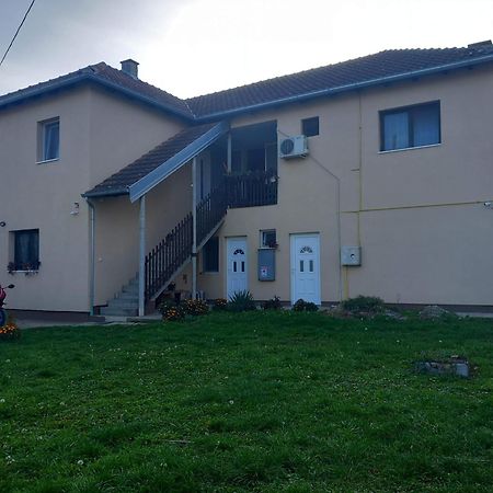 Rm Castell Apartments Novi Sad Esterno foto